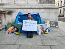 ‘At death’s door’: Family of Briton on hunger strike in Egypt urges action ahead of Cop27