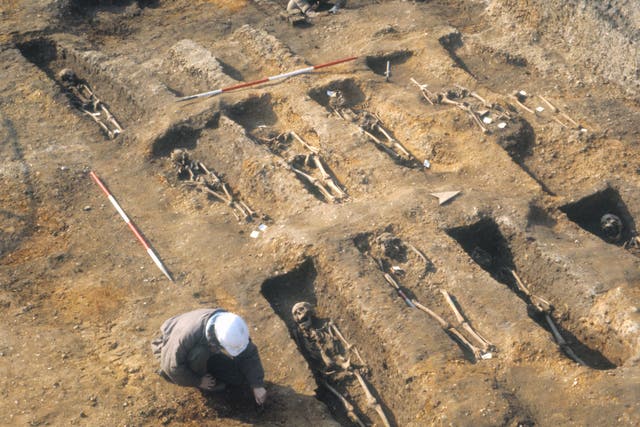 <p>The findings are based on 516 ancient DNA samples extracted from the teeth of individuals who died before, during or soon after outbreaks in London and Denmark</p>