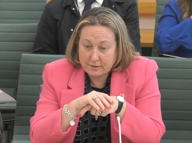 <p>Anne-Marie Trevelyan appearing at the Commons transport select committee</p>