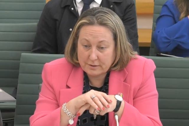 <p>Anne-Marie Trevelyan appearing at the Commons transport select committee</p>