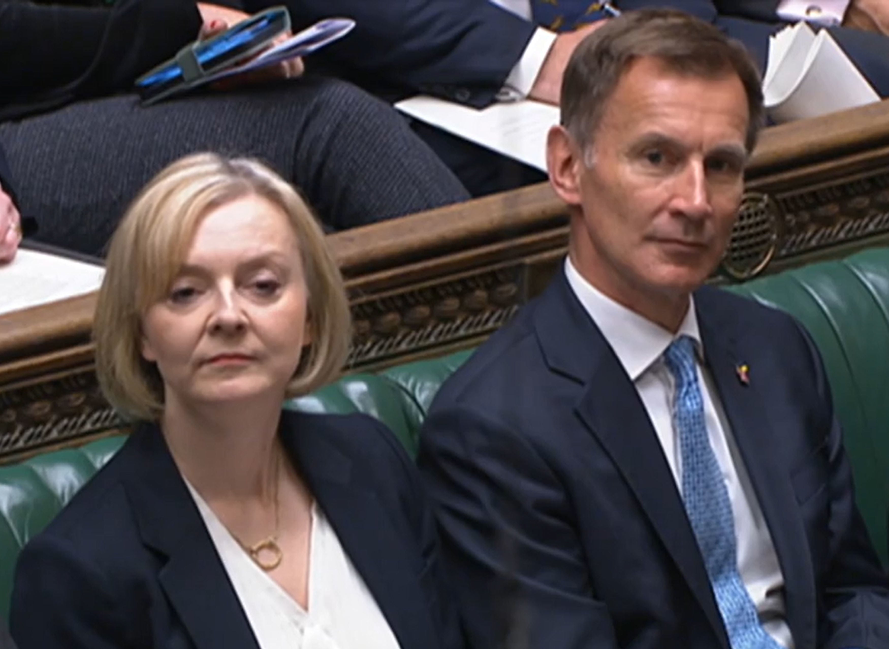 Jeremy Hunt has been dubbed a Green Tory but Liz Truss is anything but