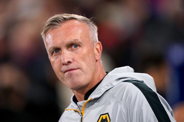 Wolves caretaker manager Steve Davis does not believe the search for a new boss is affecting his players (Zac Goodwin/PA)