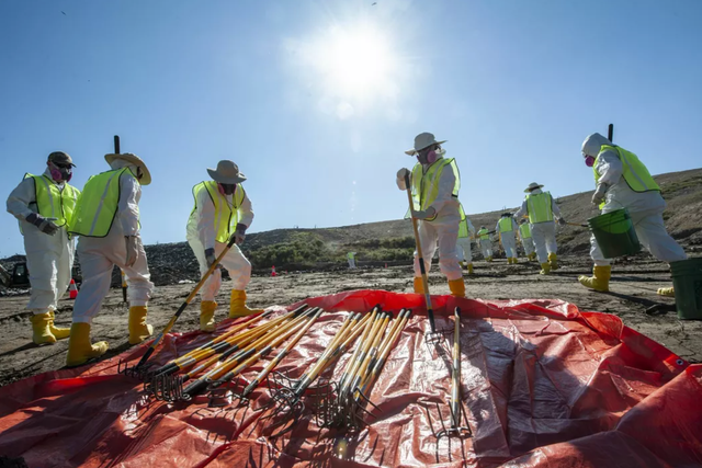 <p>The FBI released this photo of crews collecting rakes to dig through a landfill in their search for Quinton Simon</p>