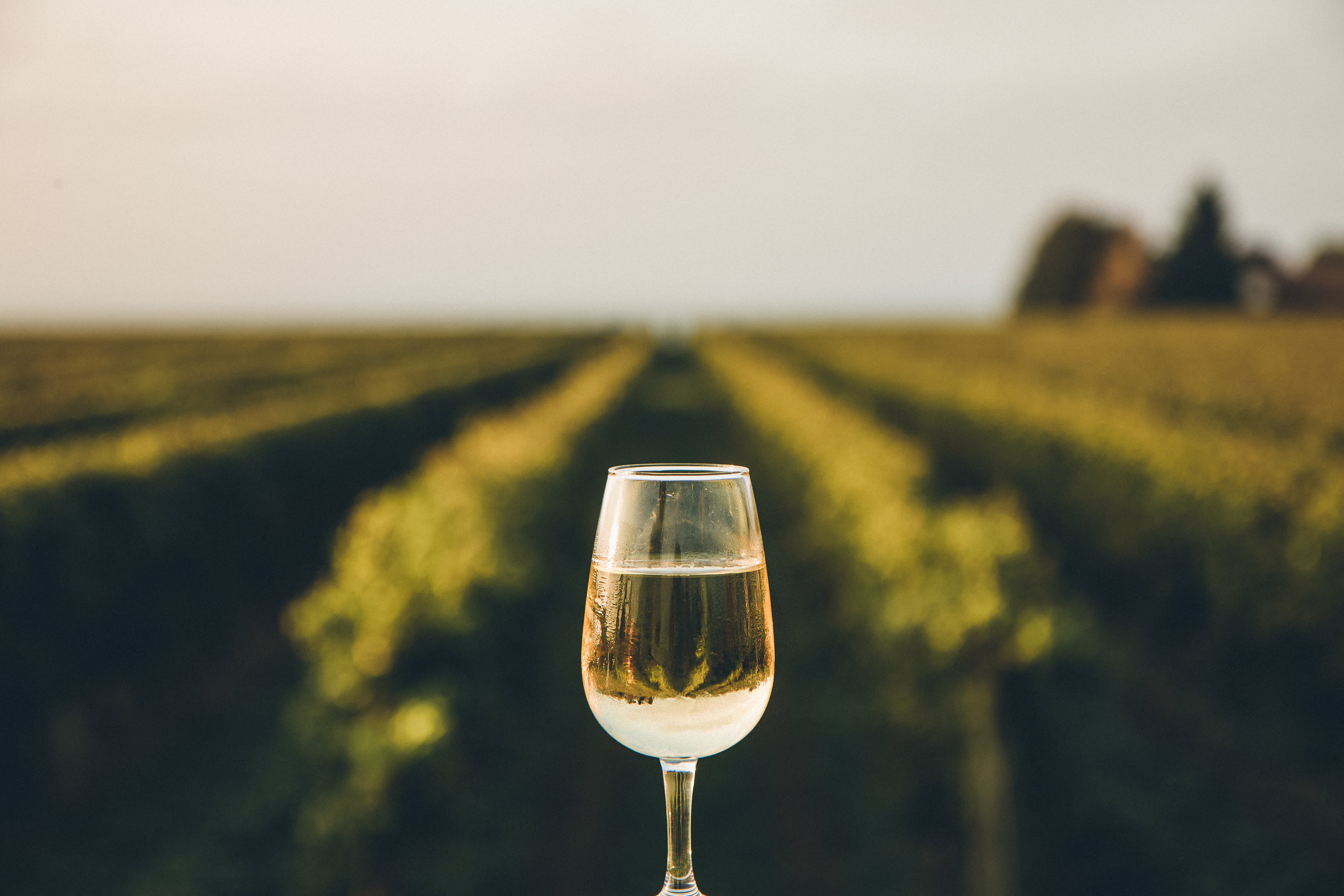After the Niagra Falls helicopter ride you may well be in need of a glass of wine. If so, make it a rare dessert wine produced from the juice of naturally frozen grapes of the Niagara-on-the-Lake Vineyards