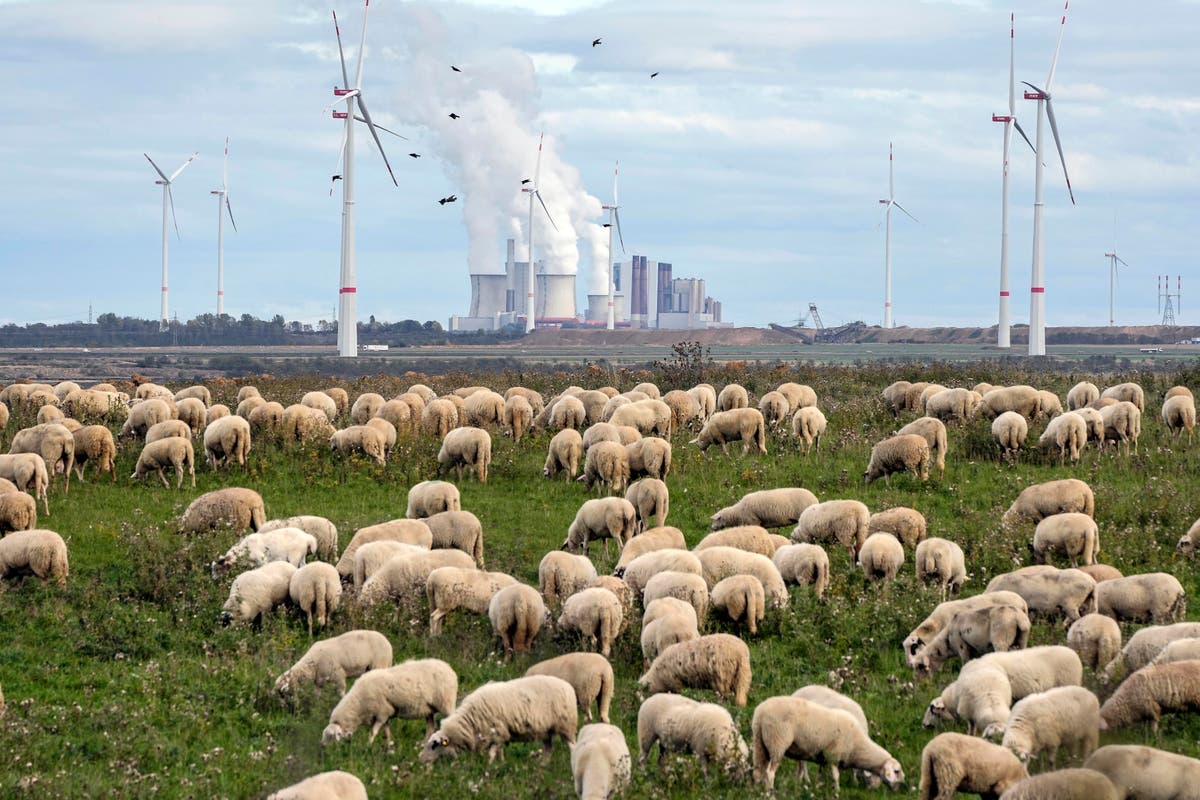 Bundespolitiker warnt vor „globaler Kohle-Renaissance“