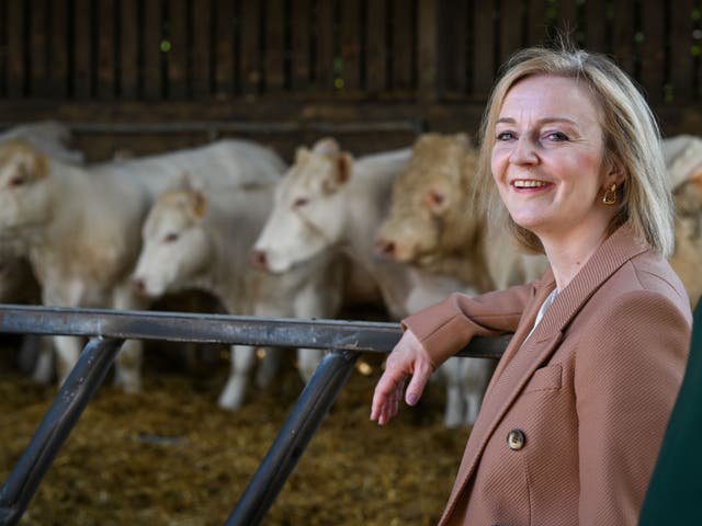 <p>Ms Truss is threatening UK animal-welfare standards, Henry Dimbleby says </p>