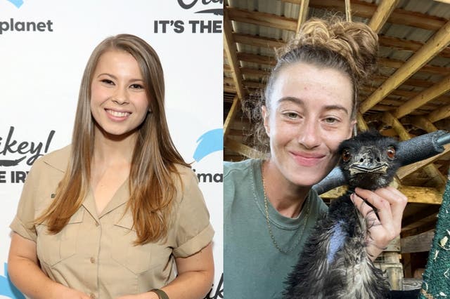 <p>Bindi Irwin responds to request for help from owner of TikTok famous emu Emmanuel </p>