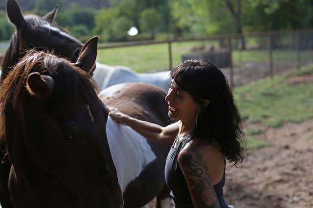 Resilience Stories-Grief Farm