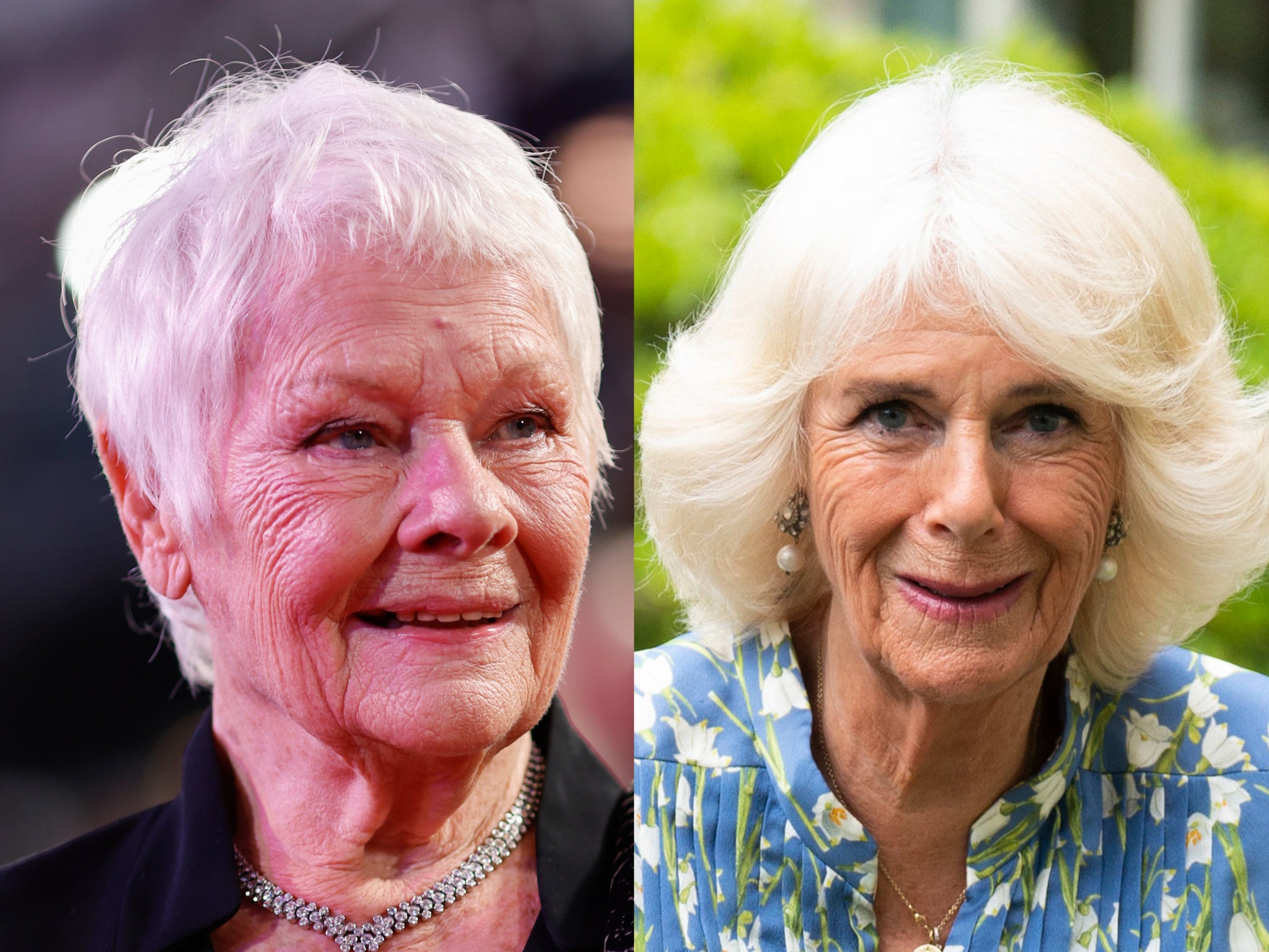 Dame Judi Dench and the Queen Consort, Camilla Parker Bowles.