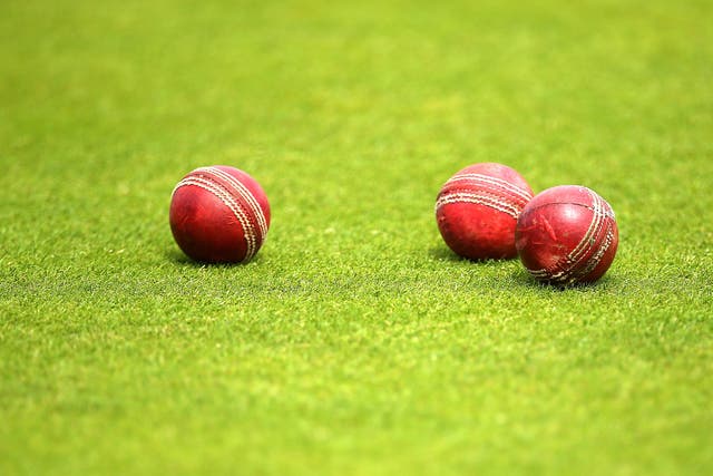 Cricket should reach out to survivors in the sport and undertake a “deep dive” into abuse, according to a football abuse survivor (Steven Paston/PA)