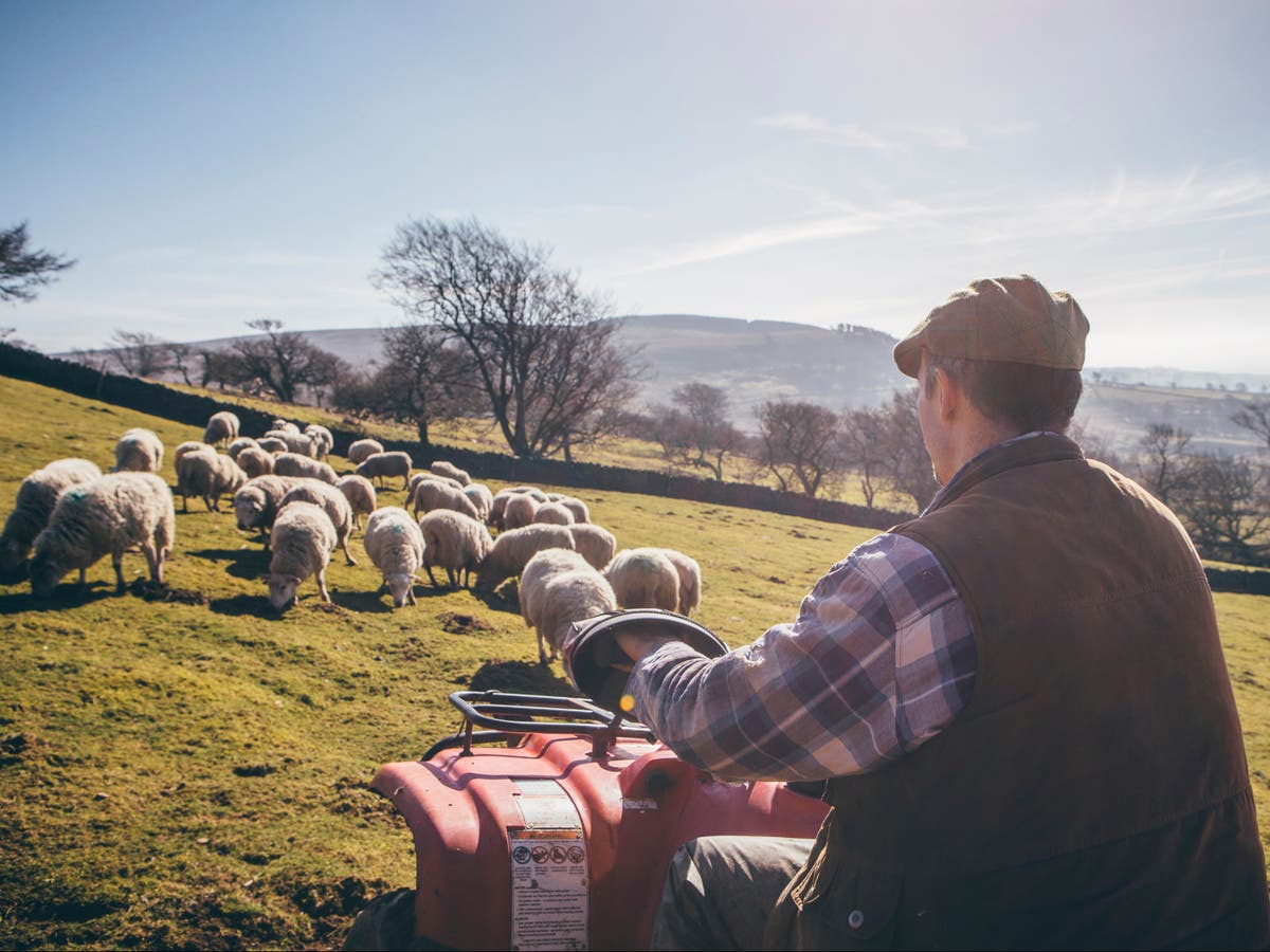 Hundreds of farmers warn MPs ‘fragile food system at critical turning point’