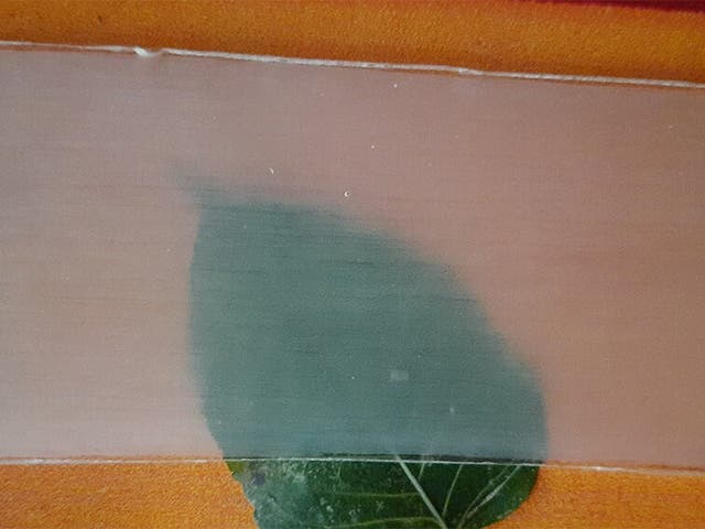 <p>Transparent wood could offer an environmentally sustainable alternative to glass or plastic, researchers claim</p>