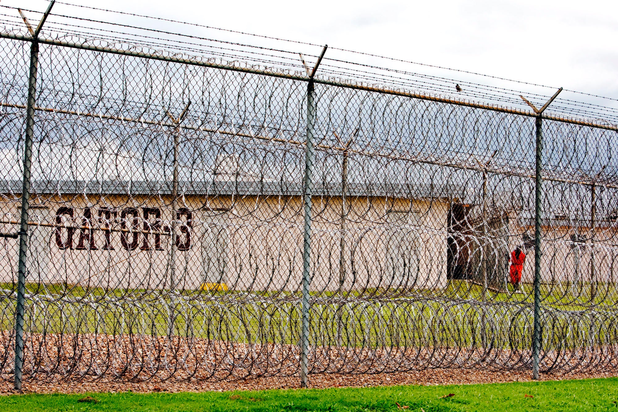 Louisiana State Penitentiary - Latest News, Breaking Stories And ...