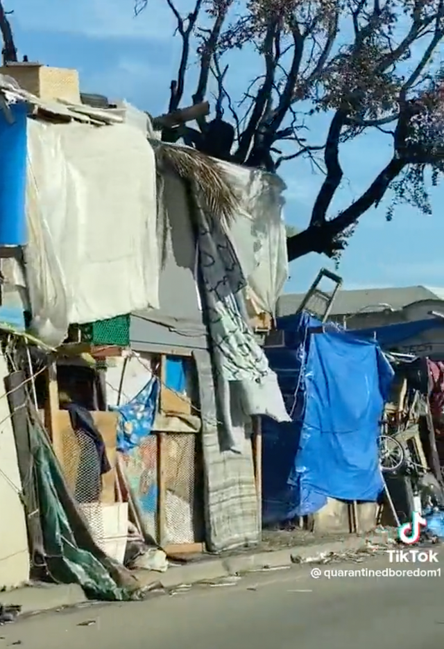 <p>An image from the video showing the state of the houseless crisis</p>