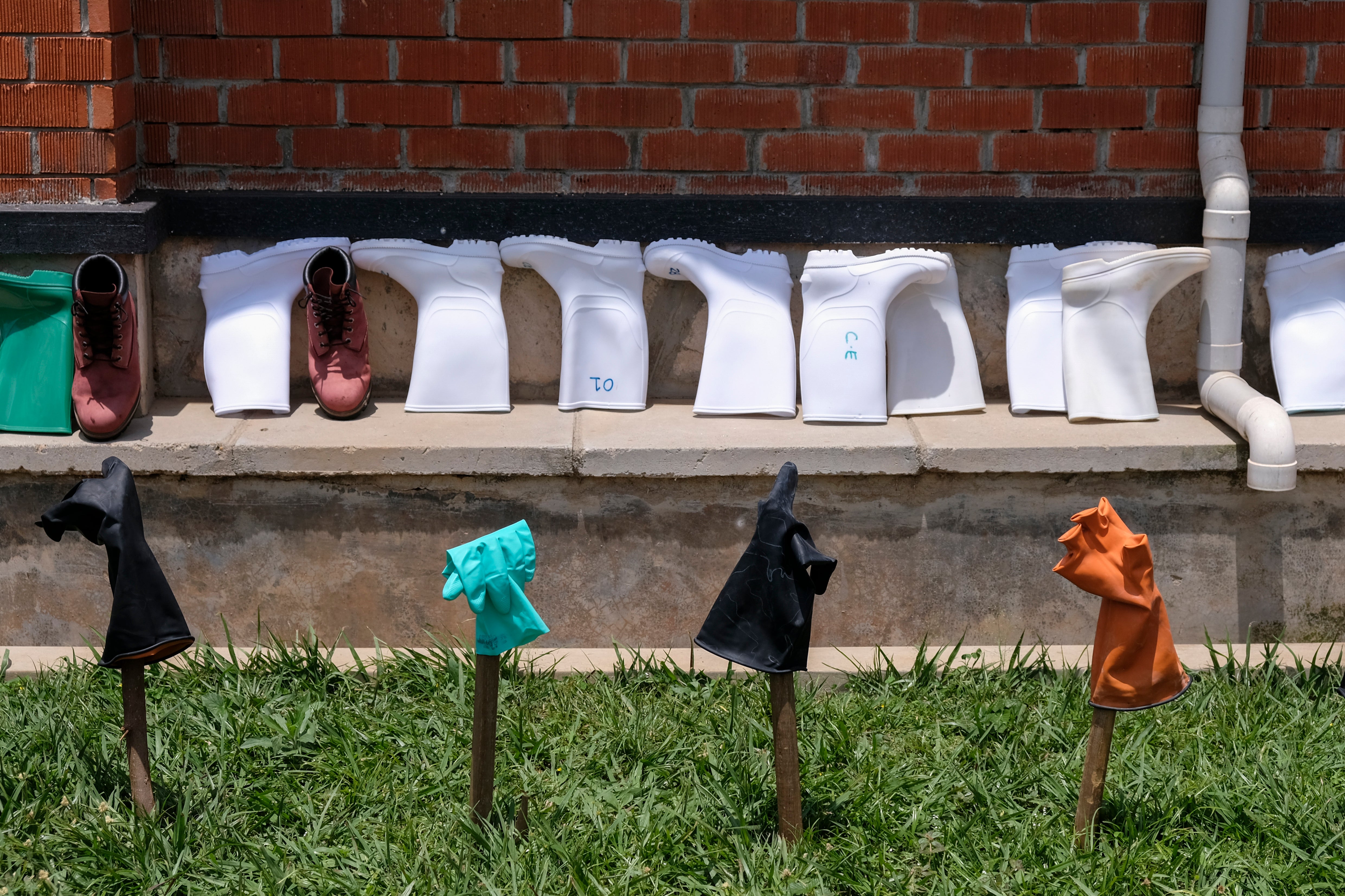 Pictures of the Week Europe and Africa Photo Gallery