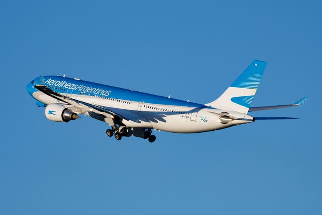 <p>An Aerolineas Argentinas passenger plane</p>