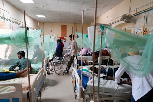 <p>Dengue patients rest at the dengue ward of a government in Uttar Pradesh</p>