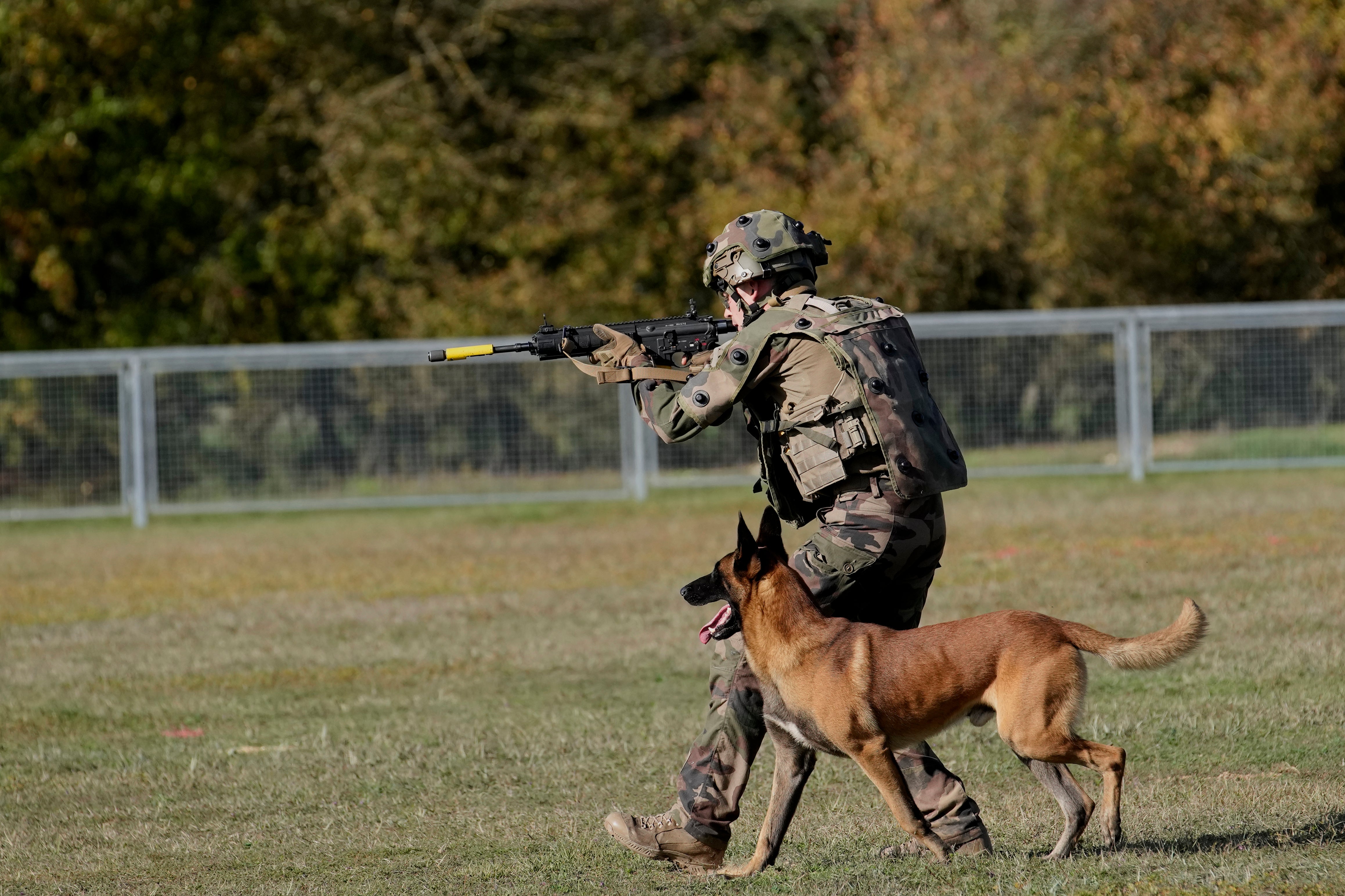 France Hero Dogs
