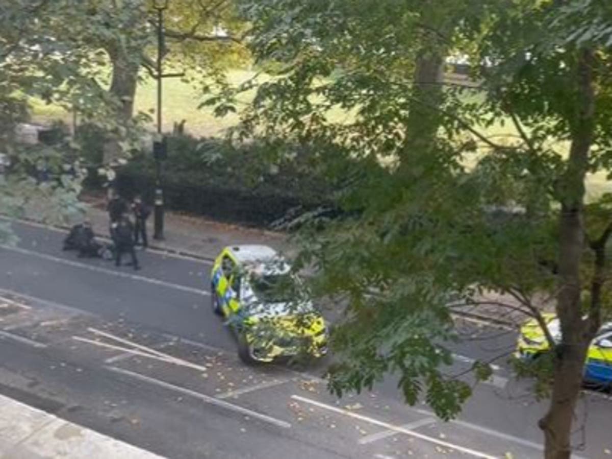 &lsquo;Knifeman&rsquo; tasered and arrested by armed police near Parliament