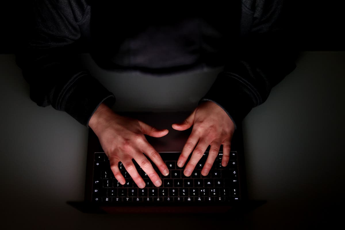 KGB stooges could swing result of online Tory leadership vote, expert warns