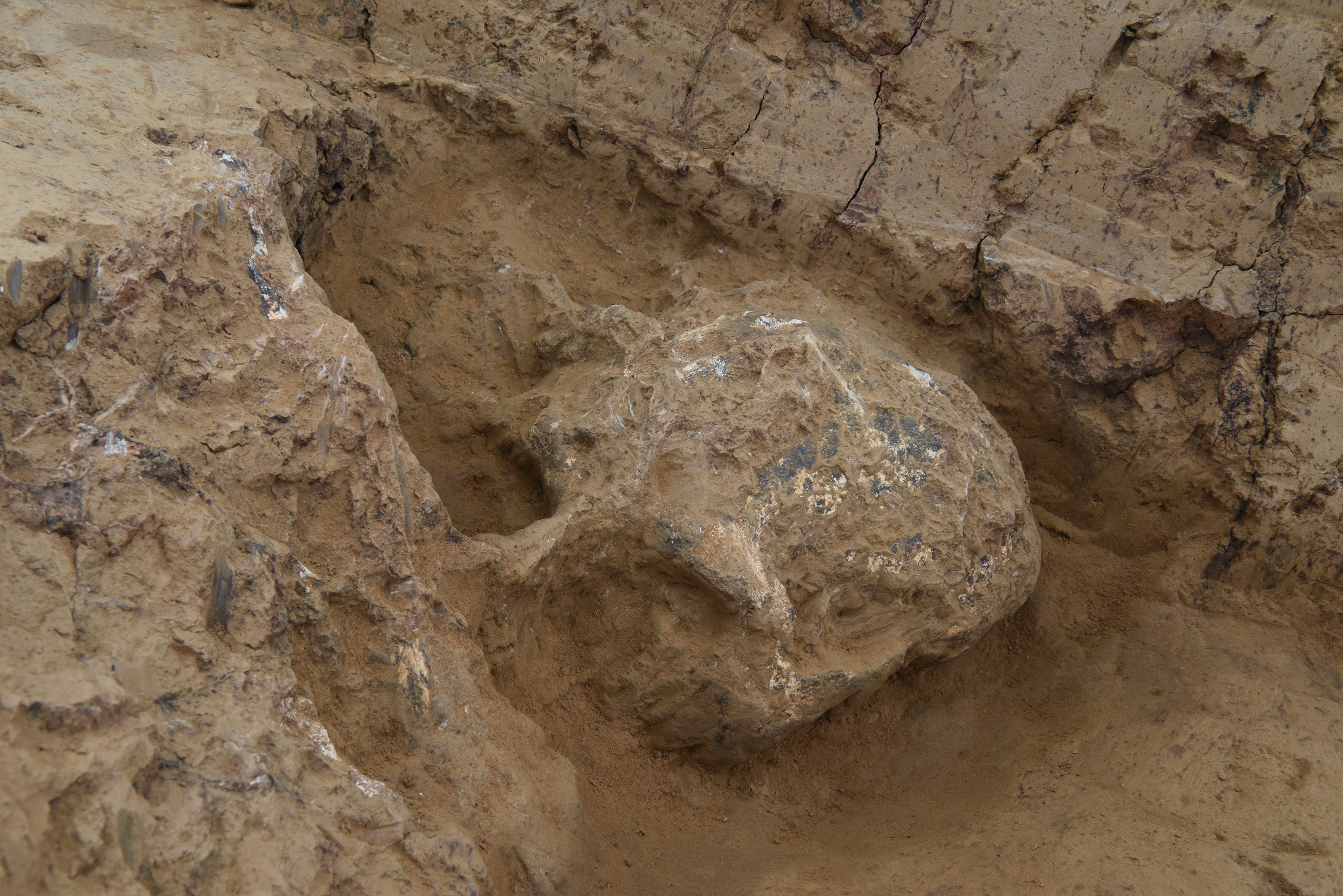 The No 3 skull fossil of Yunxian Man