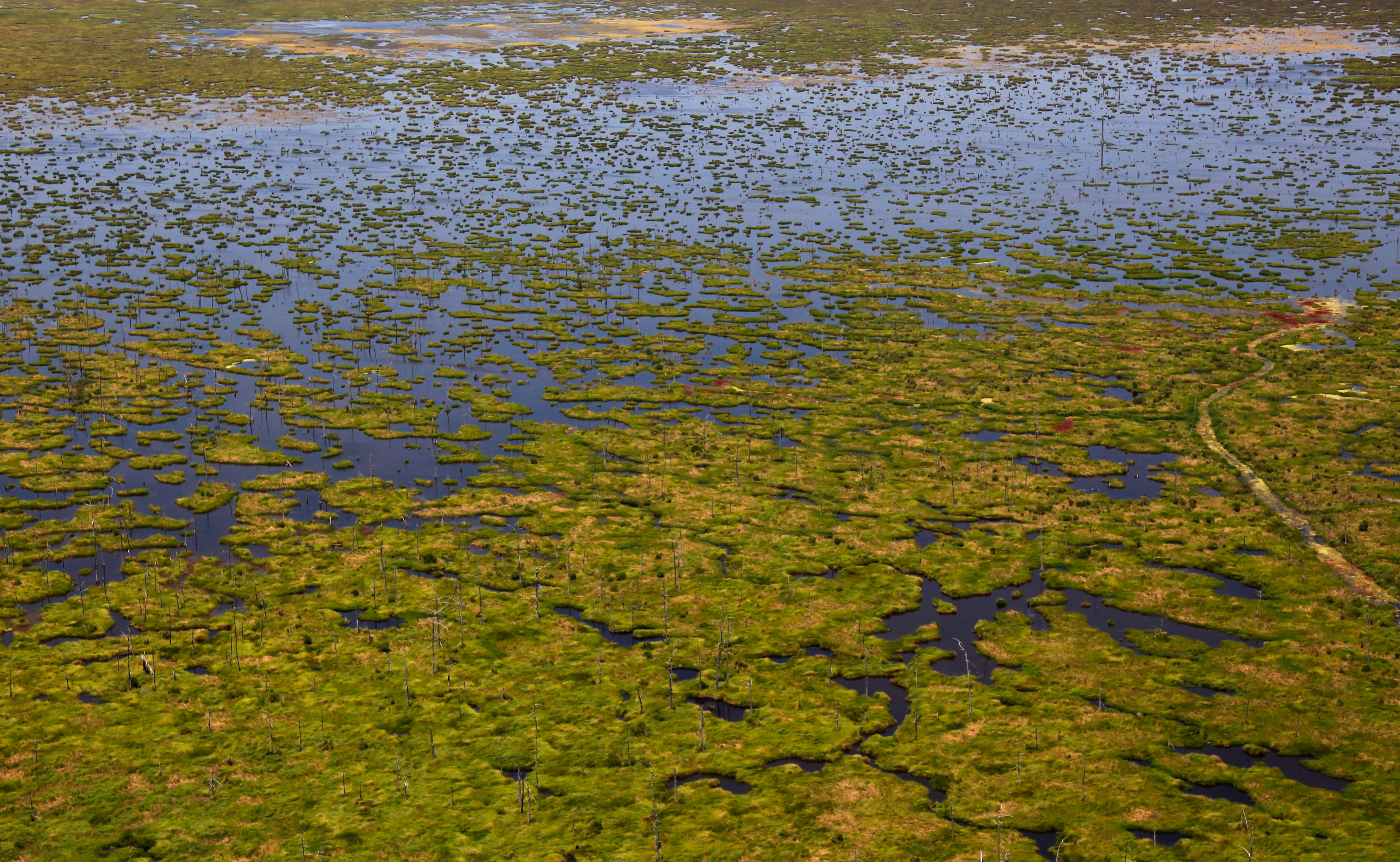 Wetlands Damage Lawsuits