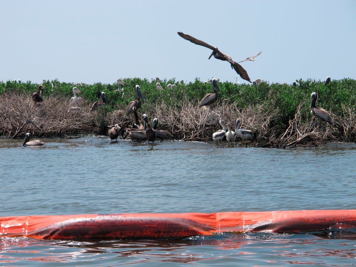 Ruling could mean trials against Big Oil over state wetlands