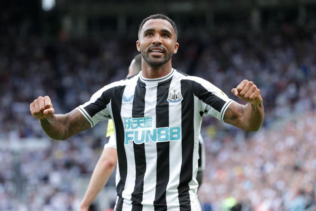 Newcastle striker Callum Wilson is targeting a positive end to a testing run of games (Richard Sellers/PA)