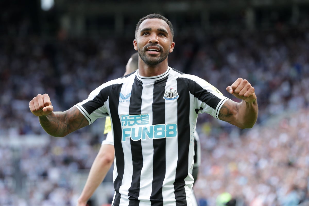 Callum Wilson says the pressure is off ahead of Newcastle’s match at Tottenham