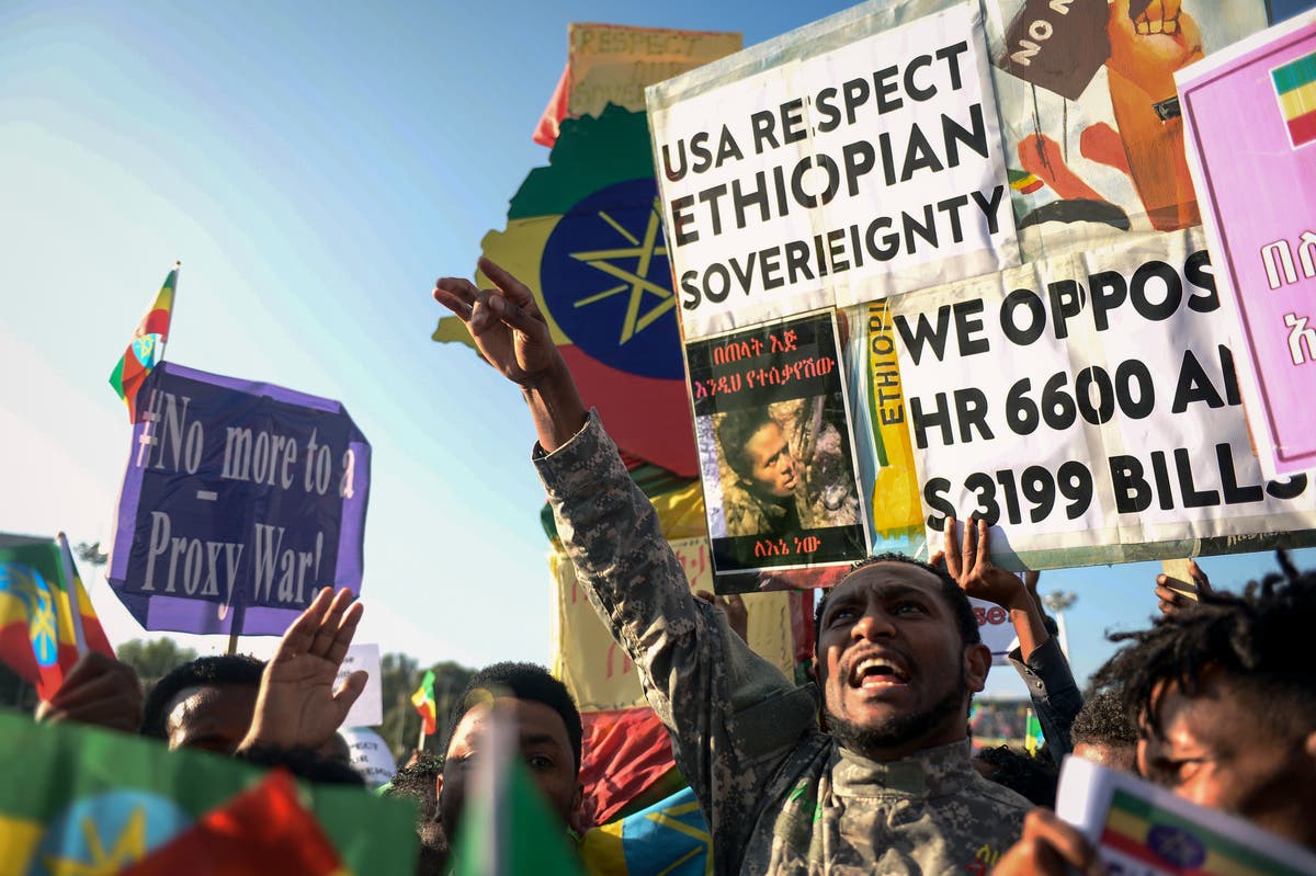 Ethiopians protest against outsiders amid Tigray conflict