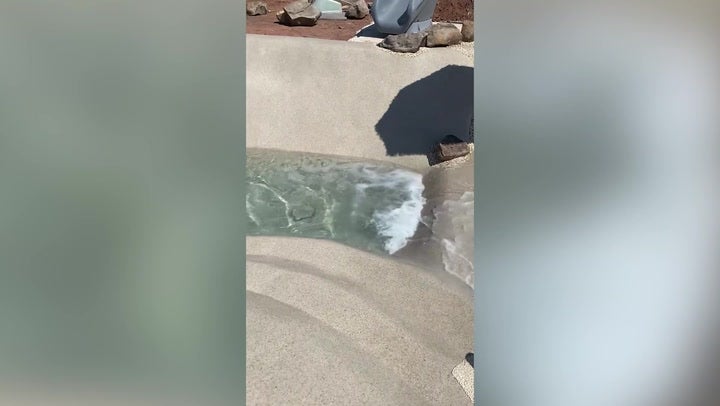 <p>Family builds private beach in back garden complete with waterfall and slides</p>