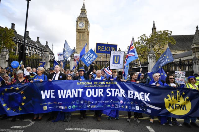 Demonstrators take part in a National Rejoin March in Parliament Square, London (PA)
