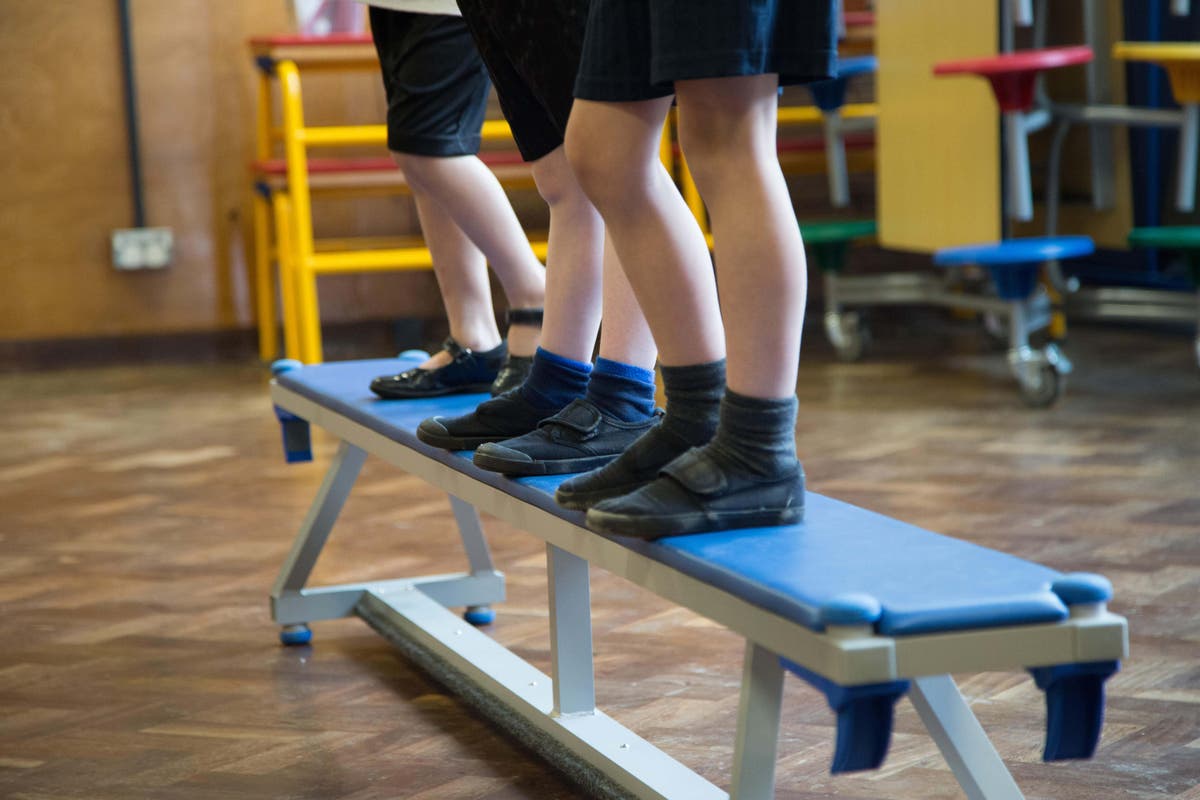 Poor training may be hampering physical activity push in primary schools – study Poor training may be hampering physical activity push in primary schools – study