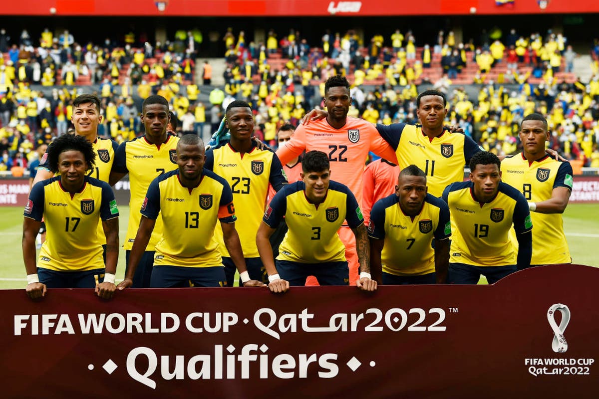 Ecuador World Cup 2022 squad guide: Full fixtures, group, ones to watch, odds and more | The Independent