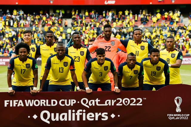 <p>Ecuador shocked South America by claiming an automatic qualification spot for Qatar  </p>
