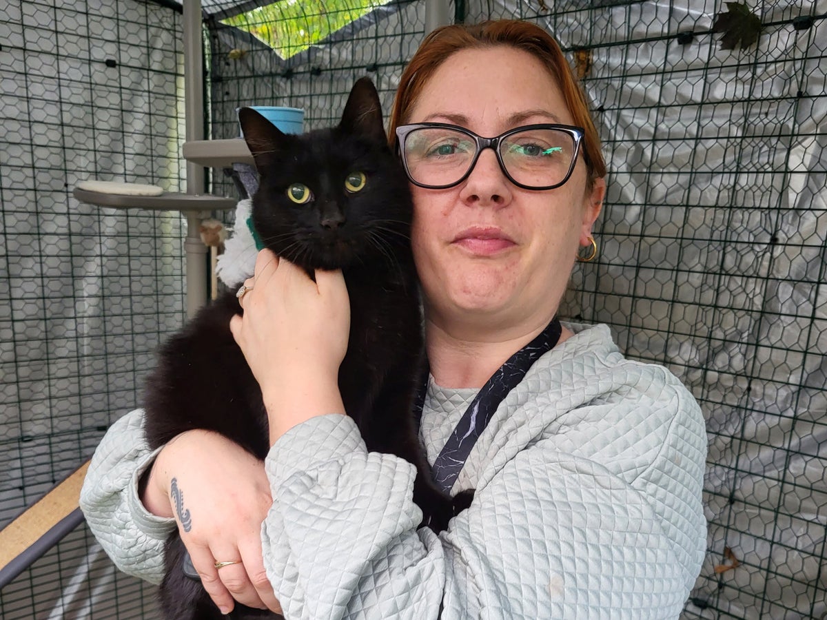 Missing cat reunited with family after six years
