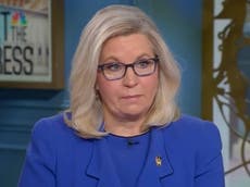 Liz Cheney says Jan 6 committee will not let Trump turn his testimony into a ‘circus’ or ‘food fight’