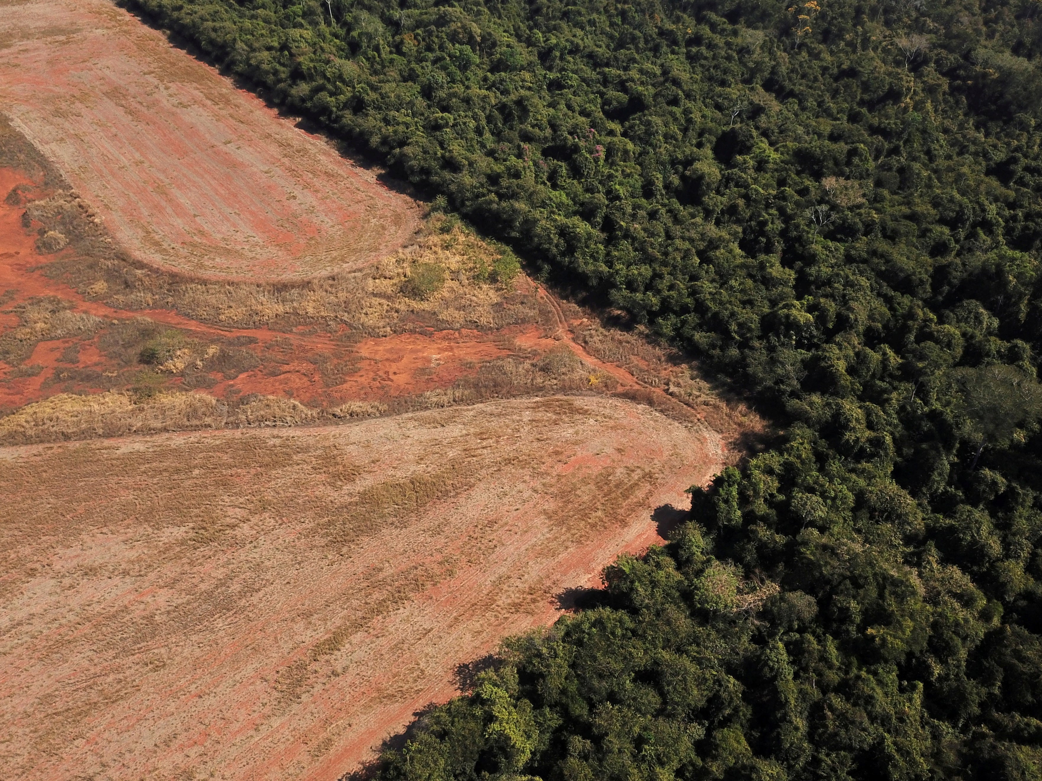 Deforestation in Mato Grosso state, Brazil
