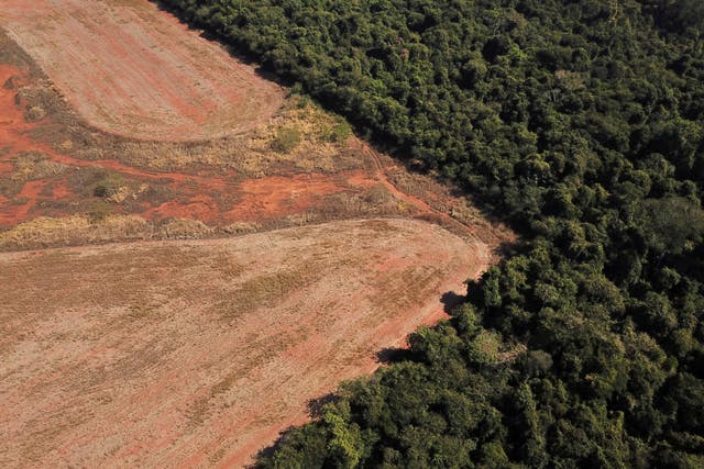 <p>Deforestation in Mato Grosso state, Brazil</p>