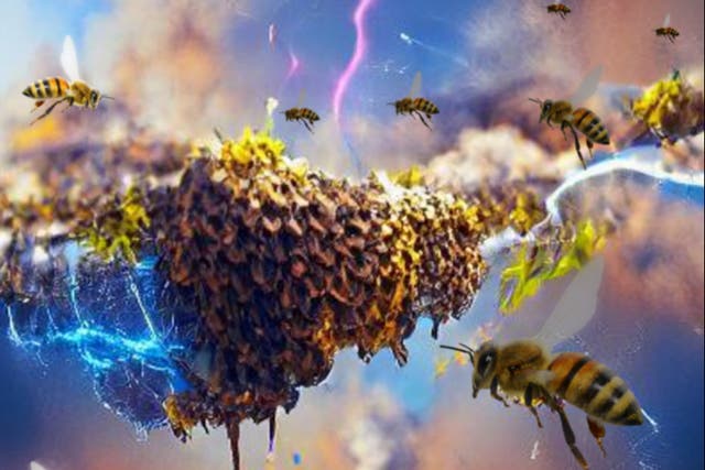 <p>Bees have a closer relationship with electricity than previously recognised</p>