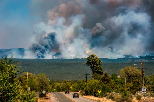 Wildfires Insurance Fight