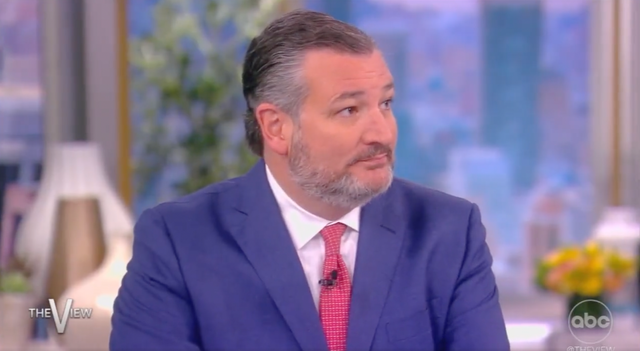 <p>Texas Senator Ted Cruz on chatshow, The View, on Monday as climate protestors interrupt the show</p>