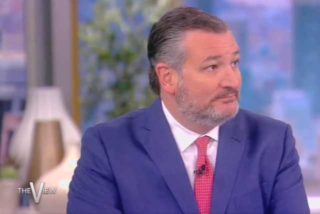 <p>Texas Senator Ted Cruz on chatshow, The View, on Monday as climate protestors interrupt the show</p>