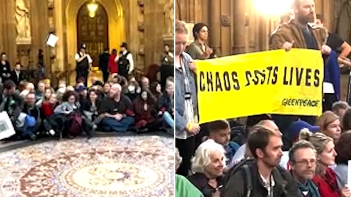 Climate and energy crisis activists carry out sit-in protest in UK parliament