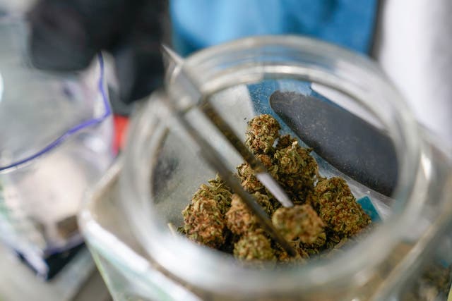 Election 2022 Marijuana Explainer