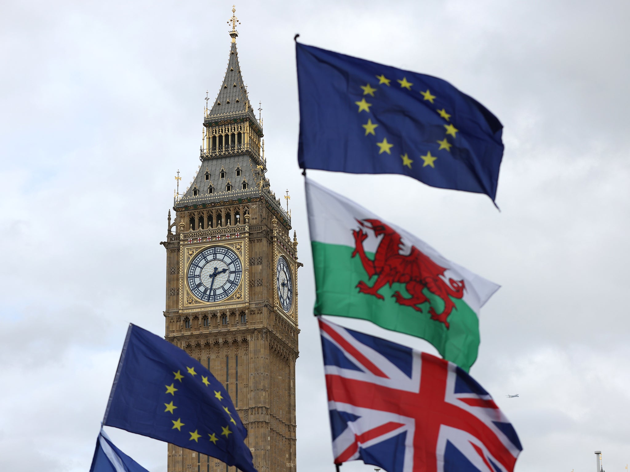 <p>The latest polls suggest 59 per cent are now in favour of rejoining the EU </p>