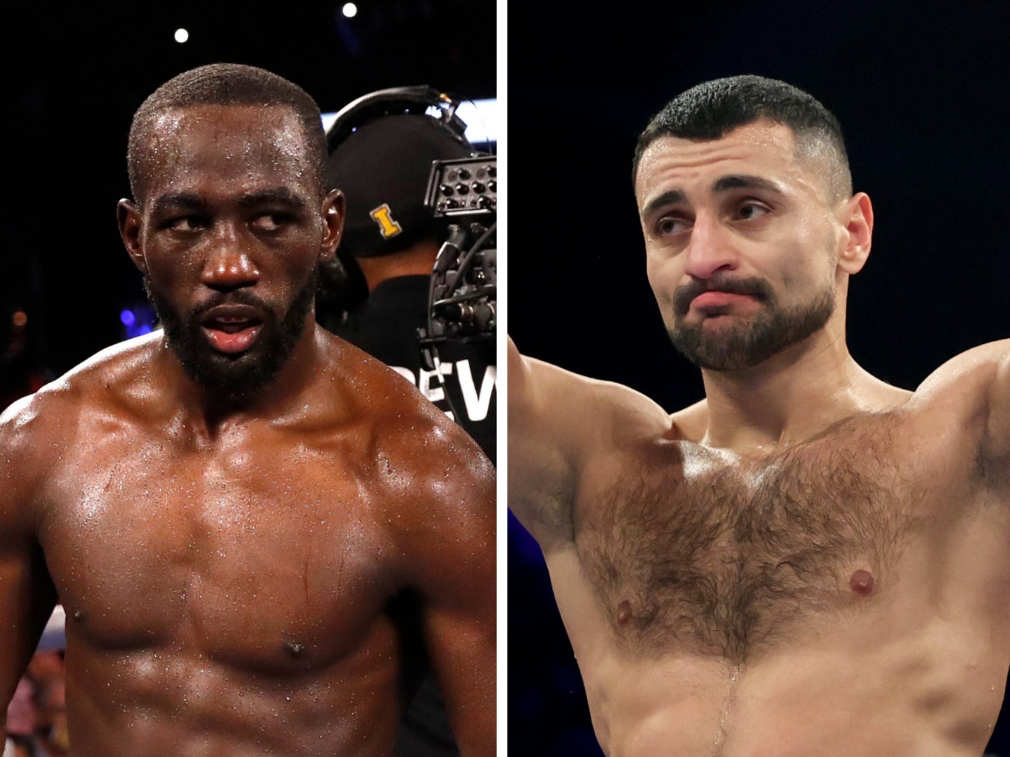 Terence Crawford (left) will box David Avanesyan on 10 December