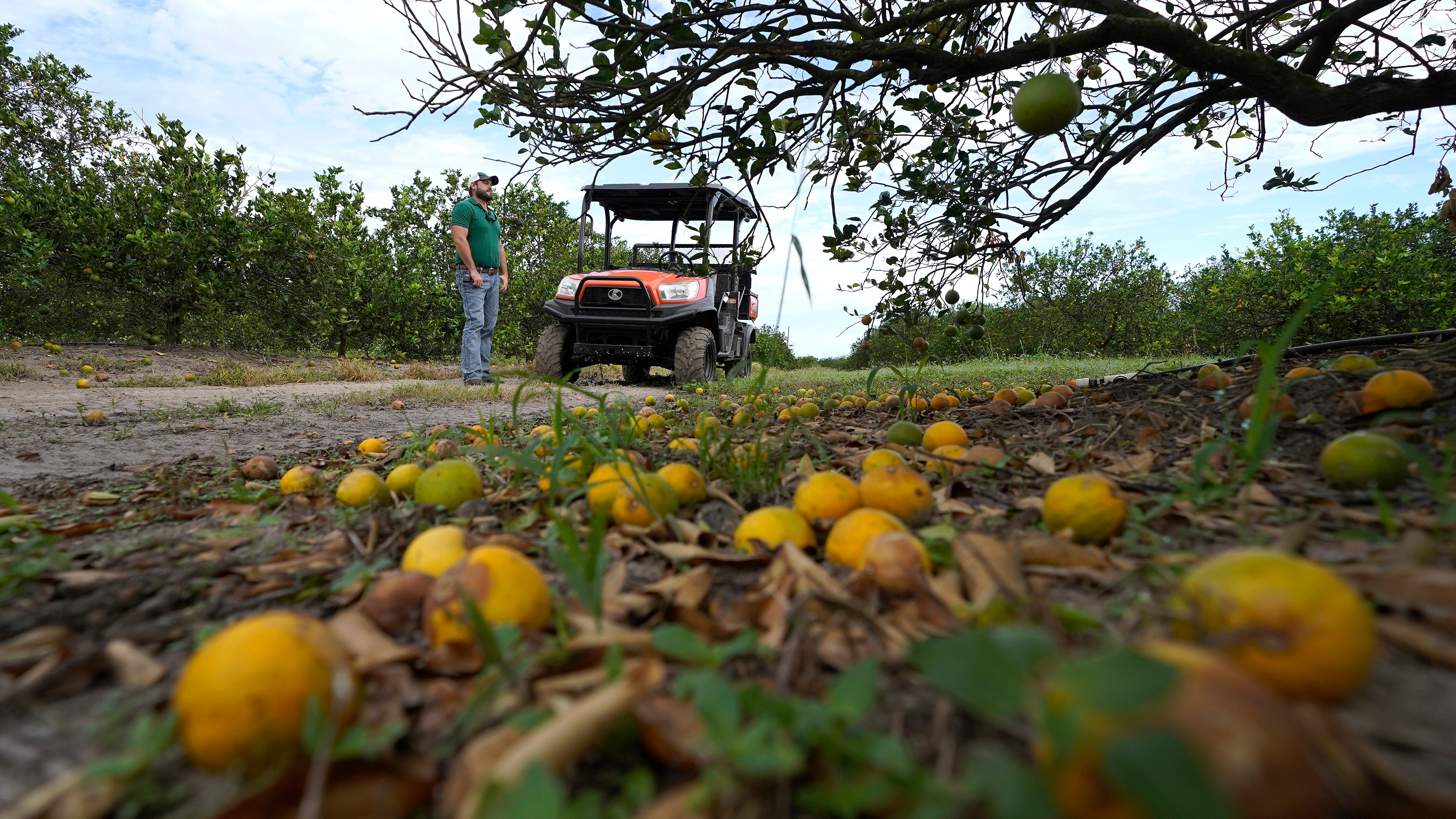 FLORIDA-HURACÁN IAN-AGRICULTURA