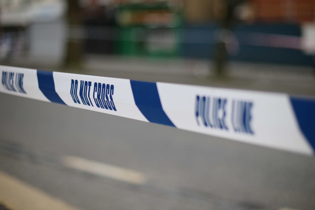 Diwali fireworks masked gunshots in fatal double shooting, says resident Diwali fireworks masked gunshots in fatal double shooting, says resident