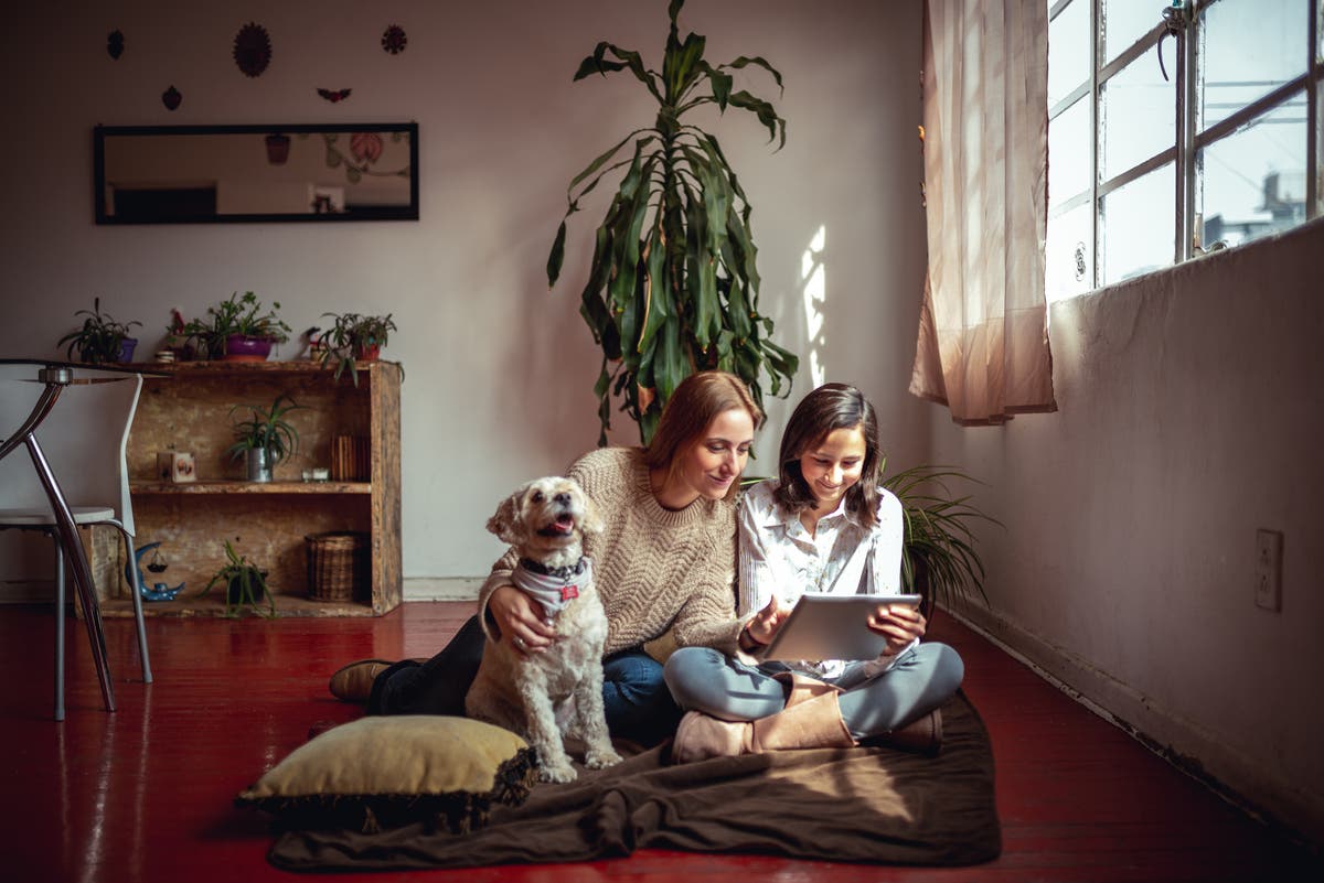 Roots Revisited: unlocking the mysteries of your family tree